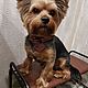 Collar for dog genuine leather. Dog - Collars. AshotCraft. My Livemaster. Фото №6