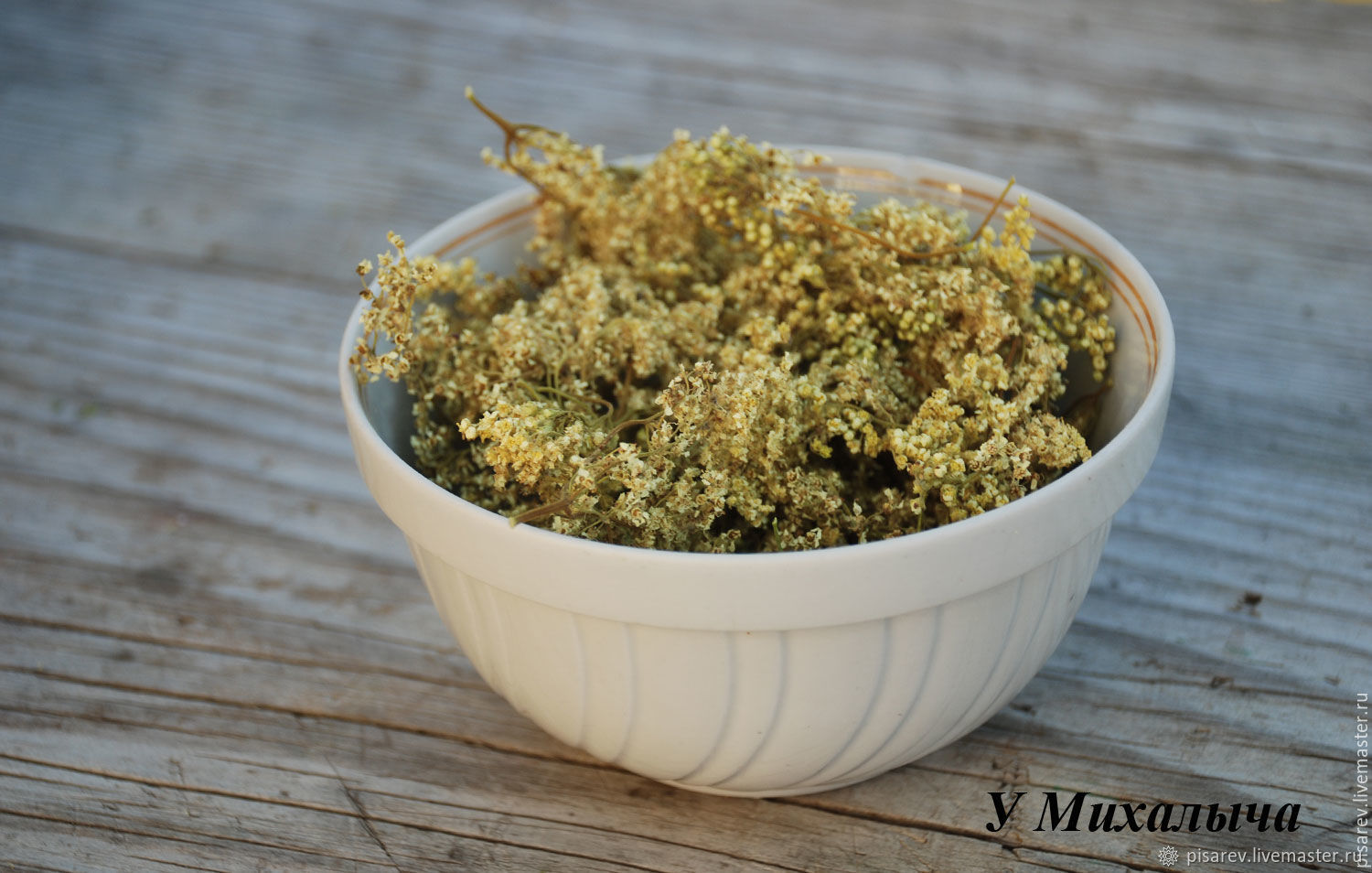 Таволга (лабазник), цветы сушеные купить в интернет-магазине Ярмарка ...