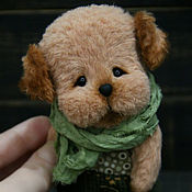 Puppy Teddy Goldie
