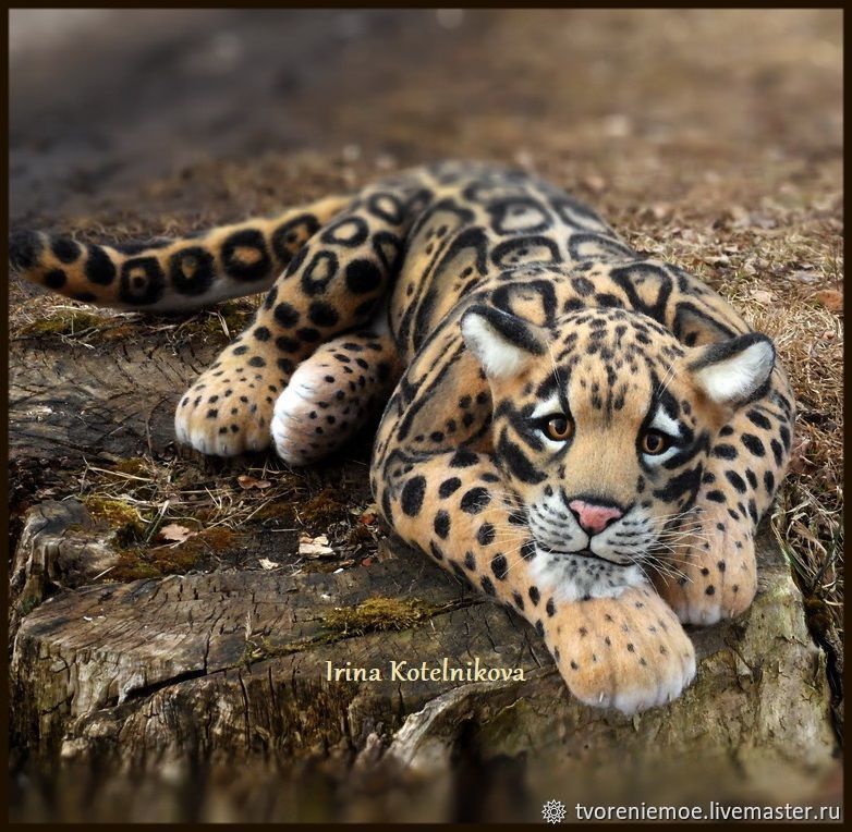  Дымчатый леопард, Войлочная игрушка, Глазов,  Фото №1