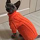 Заказать Одежда для кошек сфинксов. Модный look для домашних питомцев. Ярмарка Мастеров. . Одежда для питомцев Фото №3