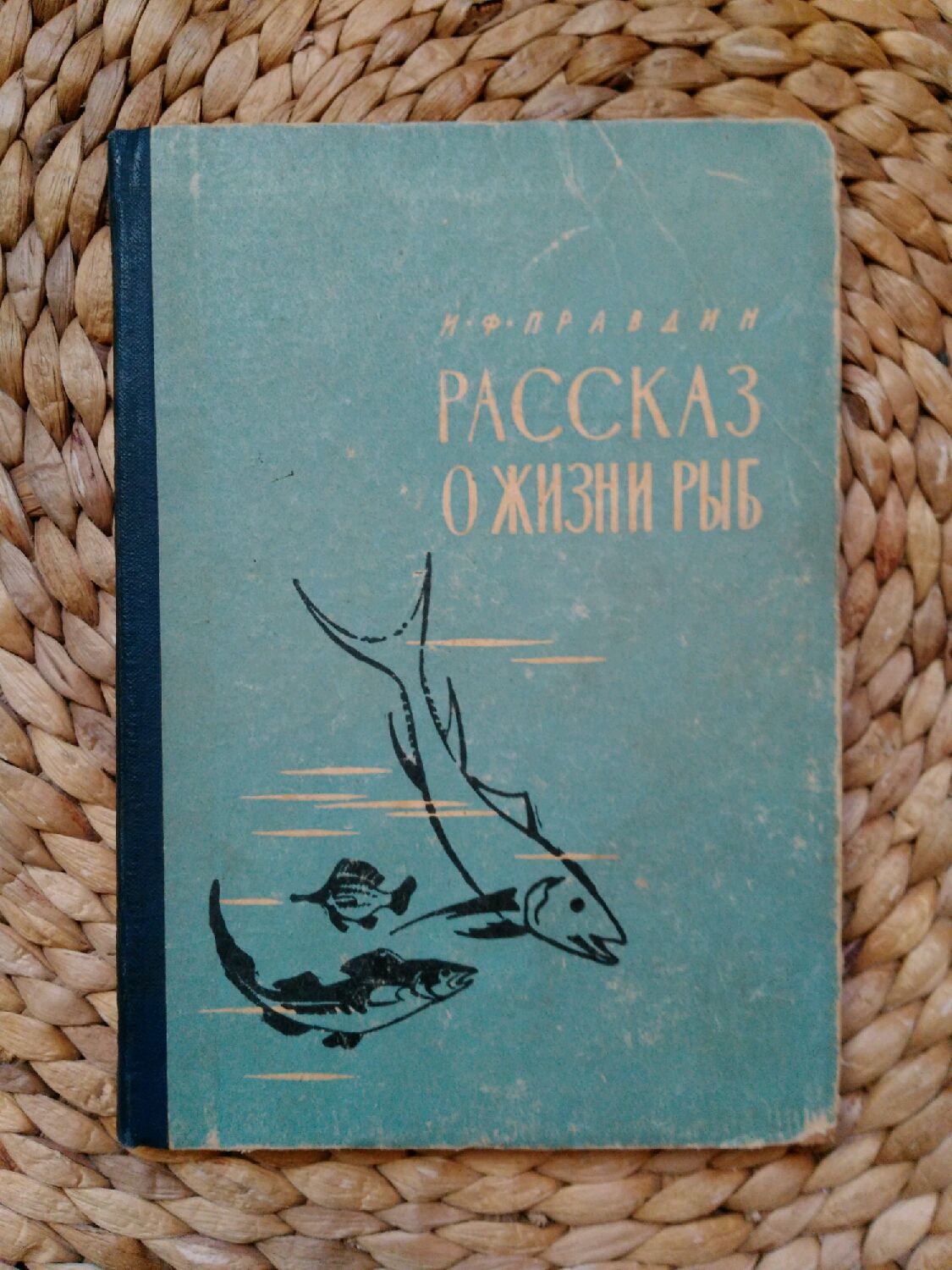 Моя Рыба Будет Жить Купить Книгу