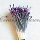 Stamens small 'Lavender', Stamens, Rostov-on-Don,  Фото №1