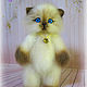 Сиамский котенок. Мягкие игрушки. Masterskaya handmade ✨O'Palchik✨. Ярмарка Мастеров.  Фото №6