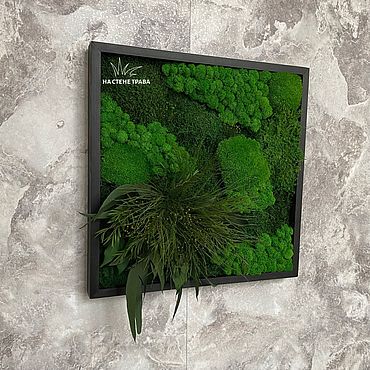 Заказать стены из мха – уникальные ECOстены для вашего дома. - Emerald Green