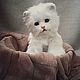 Teddy Animals: little white kitten. Teddy Toys. Teddybeasts. Online shopping on My Livemaster.  Фото №2