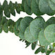 Order A set of cutters Eucalyptus Leaves, plastic. ceramic flowers. Livemaster. . Cutters Фото №3