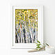 Birch trees, forest landscape, autumn forest painting, Pictures, St. Petersburg,  Фото №1