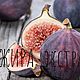 ИНЖИРА  экстракт гликолевый 50 мл. Экстракты. СО-2 экстракты, компоненты. Интернет-магазин Ярмарка Мастеров.  Фото №2