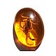 Magnet Real Scorpion in resin amber color souvenir gift cabochon. Magnets. BalticAmberJewelryRu Tatyana. My Livemaster. Фото №6