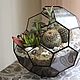 Order The Floriana. the Floriana with succulents. Glass Flowers. Livemaster. . Florariums Фото №3