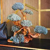 Подарок для влюбленных - дерево из цетрарии