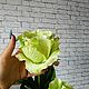 Роскошный букет крупных роз, 57 см, 7 голов, Цветы, Москва,  Фото №1