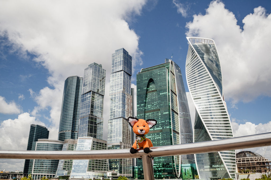 С лисичкой гуляли по Москве.