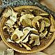  сушеные белые грибы, Грибы, Санкт-Петербург,  Фото №1