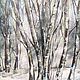 Watercolor. morning in a birch forest. Pictures. Dubrovina_ART. Online shopping on My Livemaster.  Фото №2