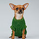 Одежда для собак: Свитер для маленькой собачки чихуа, йорк, той, Одежда для питомцев, Всеволожск,  Фото №1