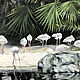 Oil painting Tropical 55h80 cm. Pictures. Ivlieva Irina Art. Online shopping on My Livemaster.  Фото №2