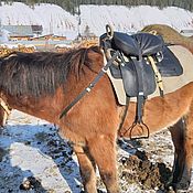 Зоотовары handmade. Livemaster - original item Cossack horse saddle, Cheaper. Handmade.