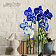 Синяя орхидея  из полимерной глины, Цветы, Москва,  Фото №1