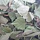Лист березы, Цветы сухие и стабилизированные, Чарышское,  Фото №1