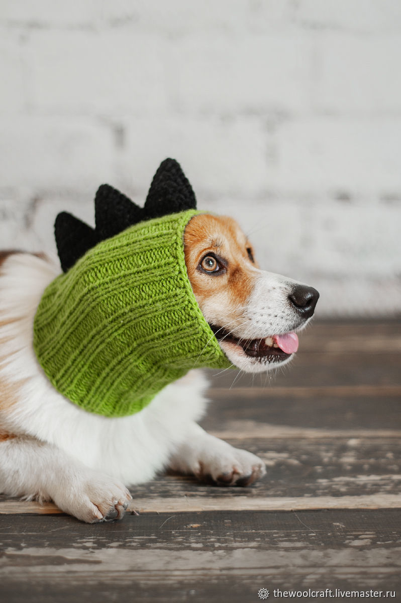 Вязанные шапки для собак