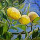 The author's painting with lemons on a tree branch a little oil painting, Pictures, St. Petersburg,  Фото №1