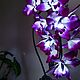 Flower-night light of the orchid 'Tiona'. Table lamps. Elena Krasilnikova. My Livemaster. Фото №5