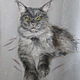 Кот мейн кун - портрет пастелью. Картины. Yanikk. Интернет-магазин Ярмарка Мастеров.  Фото №2