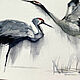 'Born Free' watercolor painting (cranes). Pictures. Nadezda Perova. My Livemaster. Фото №4
