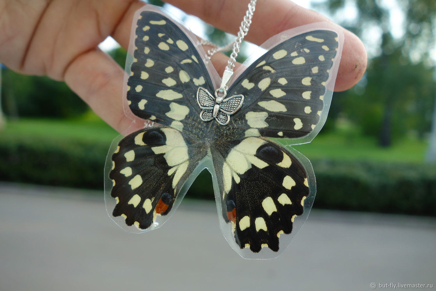 Электронные бабочки купить. Настоящие бабочки. Талисман "бабочка". Украшения с бабочками настоящими. Лавка бабочка.