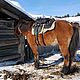 Order Cossack horse saddle, Cheaper. Saddlery and blacksmith's yard. Livemaster. . Saddles Фото №3