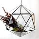 the Floriana to buy SPb, Floriana as a gift, geometric Floriana, Floriana pendant price, Floriana hanging on a chain on the ceiling, the icosahedron Floriana, Floriana as a gift, brazed florarium  
