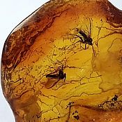 Сувениры и подарки handmade. Livemaster - original item Collectible amber stone with an inclusion (insect). Handmade.