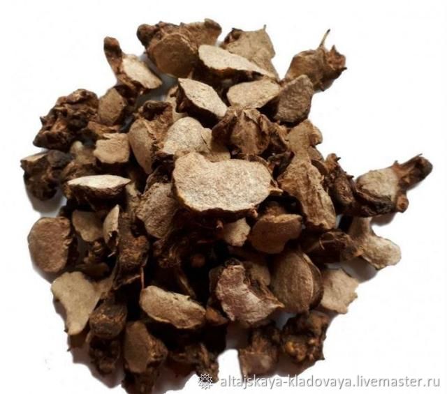 Диоскорея кавказская в интернет-магазине Ярмарка Мастеров по цене 300 ...