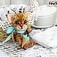 Коты и кошки ручной работы. Кот тедди.
Котик Лучик Мороженкин мини тедди. Серия Кармашкины. 10см
Зевкина Ольга. Ярмарка Мастеров.
