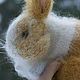 Голландский кролик Абрикос, Мягкие игрушки, Москва,  Фото №1