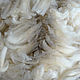 Halfbred white, Felting materials, Christchurch,  Фото №1