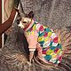 Clothing for cats ' Jacket-lace', Pet clothes, Biisk,  Фото №1