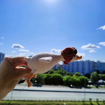 Куклы и игрушки ручной работы. Ярмарка Мастеров - ручная работа Гусь, гусь обнимусь, авиатор, летчик. Handmade.