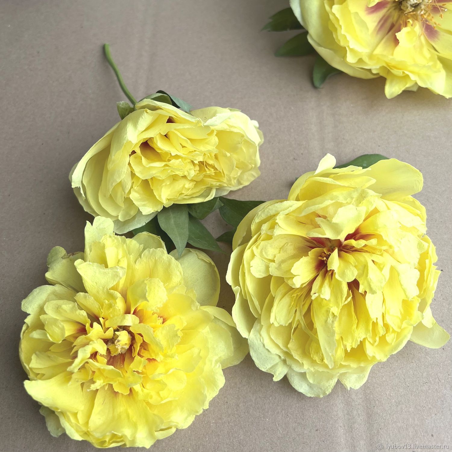 Сухоцветы объёмные пионы желтые три штуки набором купить в интернет ...