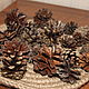 Order Pine cones for flower arranging. Ekostil. Livemaster. . Natural materials Фото №3