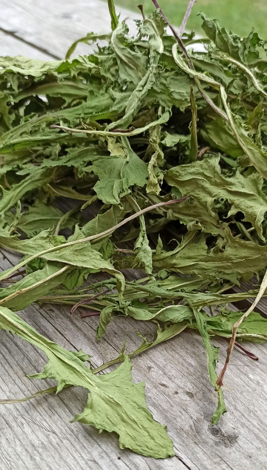 Лист Одуванчика. Сено для грызунов. Сушеные травы купить в интернет ...