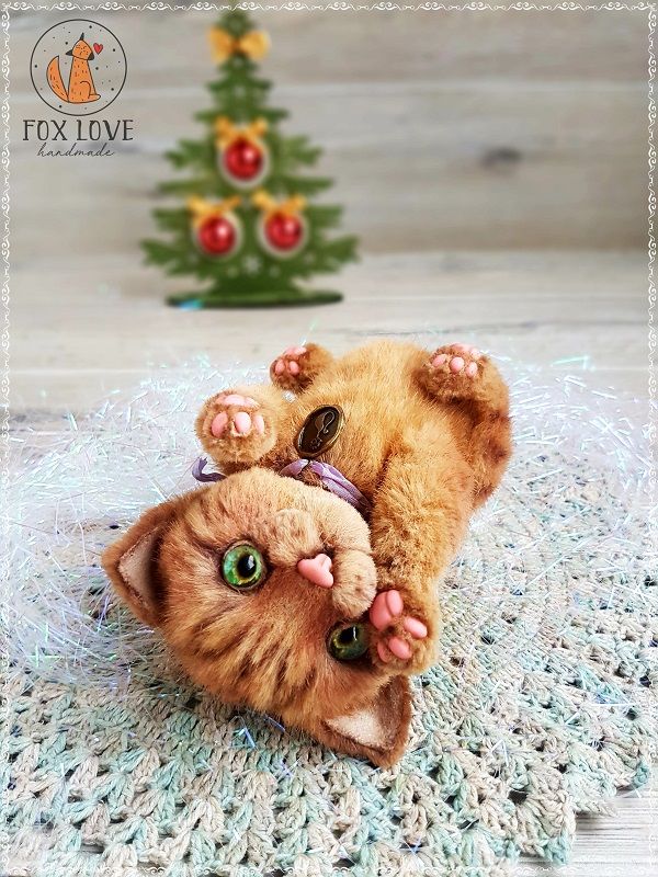 котик