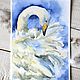 Watercolor painting 'White Swan', Pictures, Kansk,  Фото №1