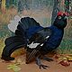 Заказать Тетерев реалистичная птица из шерсти. Совсем ручные. Ярмарка Мастеров. . Войлочная игрушка Фото №3