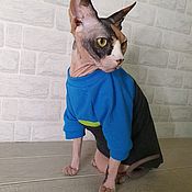 Зоотовары handmade. Livemaster - original item Clothing for cats Jacket 