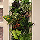Order Vertical gardening with live plants. Антонина Литовкина - Озеленение (Планета Флористики). Livemaster. . Design Фото №3