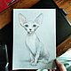  Рисунок кот, кошка сфинкс Цветные карандаши, Картины, Санкт-Петербург,  Фото №1
