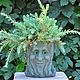 Pot Forest Troll stump of weathered concrete garden decor. Flowerpots are garden. Decor concrete Azov Garden. Online shopping on My Livemaster.  Фото №2